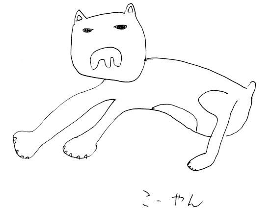 ウォンバット