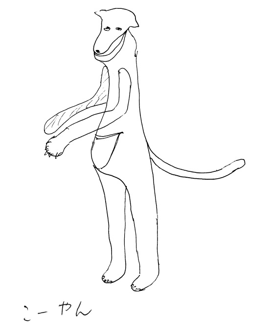 カンガルー