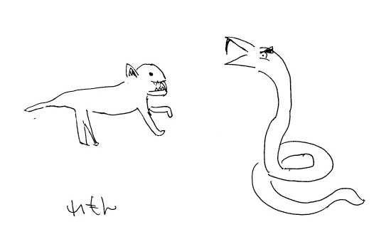 ハブ VS マングース