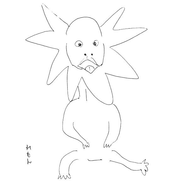 エリマキトカゲ